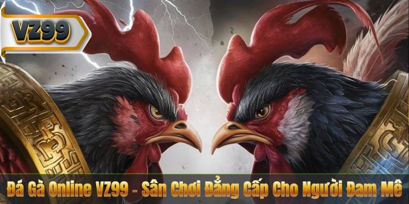 Đá Gà Online VZ99 – Sân Chơi Đẳng Cấp Cho Người Đam Mê 4 Đá Gà Online VZ99 – Sân Chơi Đẳng Cấp Cho Người Đam Mê
