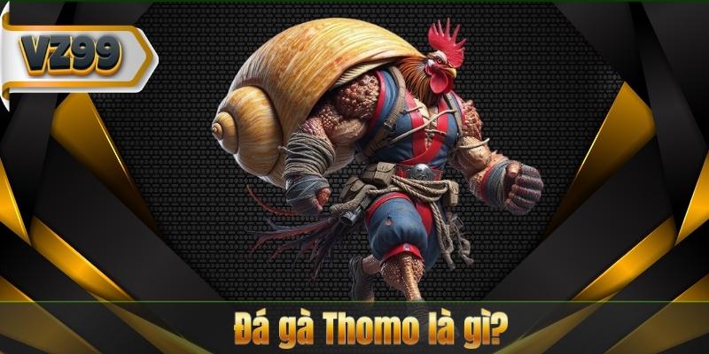 Đá Gà Thomo – Cá Cược Đỉnh Cao Với Những Chiến Kê Huyền Thoại 6 Đá gà Thomo là gì?