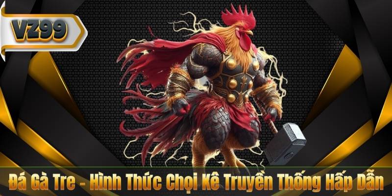 Đá Gà Tre - Hình Thức Chọi Kê Truyền Thống Hấp Dẫn 1 Đá Gà Tre - Hình Thức Chọi Kê Truyền Thống Hấp Dẫn